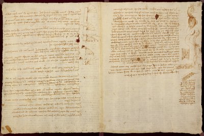 Diagrammi scientifici, dal 